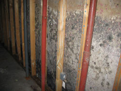 Image of mold